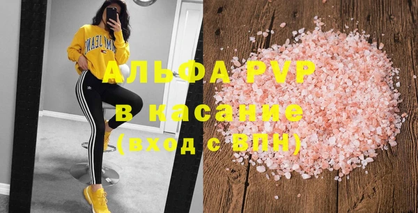 дживик Бородино