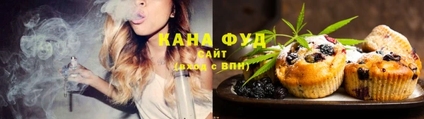 дживик Бородино