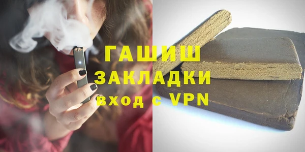 дживик Бородино