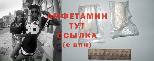 дживик Бородино