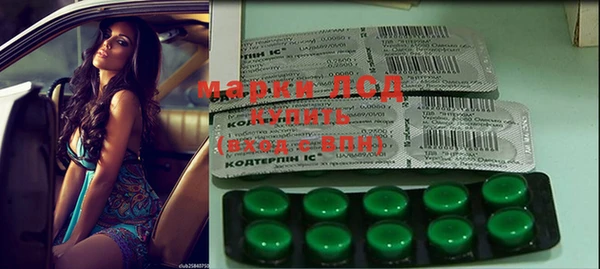 дживик Бородино
