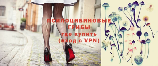дживик Бородино
