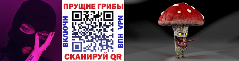 что такое   Кировск  Псилоцибиновые грибы MAGIC MUSHROOMS 